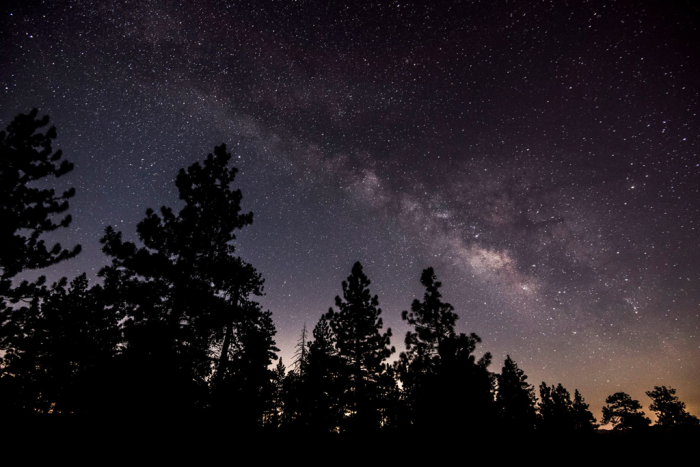 Your Guide to the Night Sky: How to See the Stars in All Their Glory ...