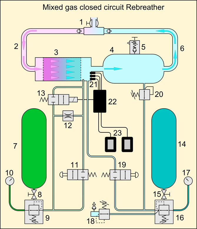 Breathe It In: The Advantages of Closed Circuit Rebreather Diving - ITS ...